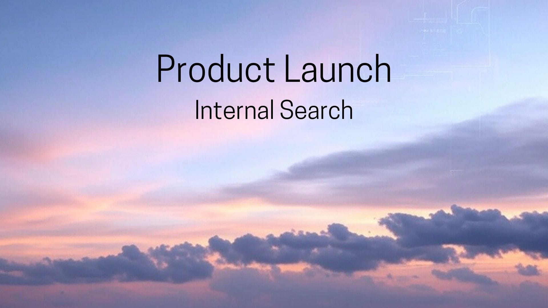 Product Launch: Internal Search